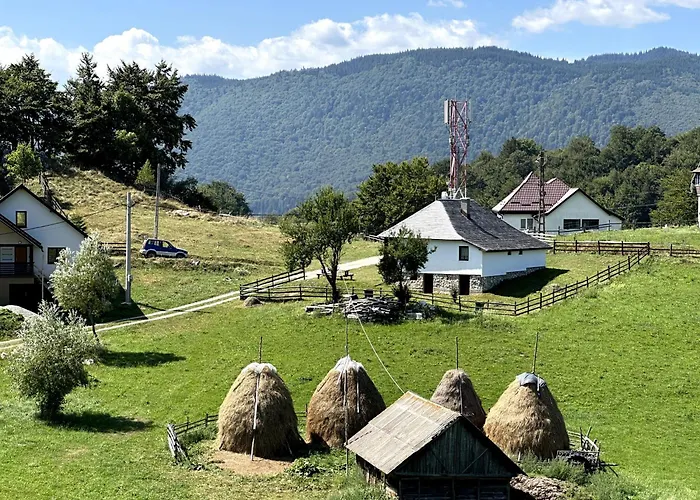 Casa Bunicilor Ciocanu